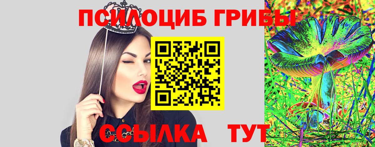 Псилоцибиновые грибы мухоморы Железногорск