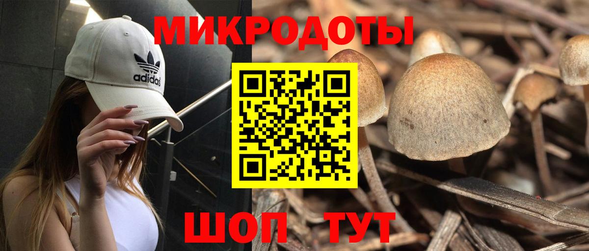 Железногорск  Галлюциногенные грибы прущие грибы  Вход с VPN  Галлюциногенные грибы мухоморы 